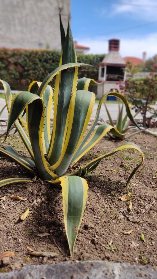 니키티 Elina House And Garden 빌라 외부 사진