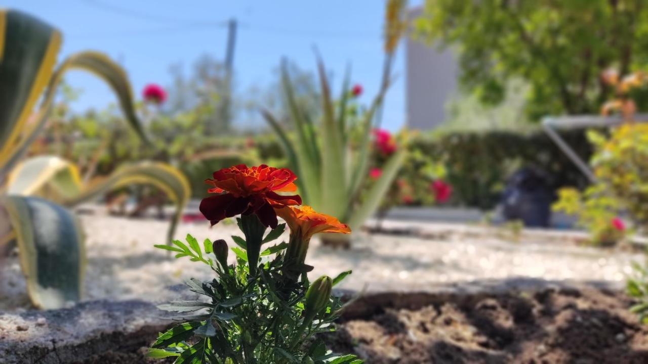 니키티 Elina House And Garden 빌라 외부 사진
