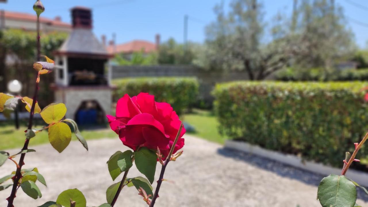 니키티 Elina House And Garden 빌라 외부 사진