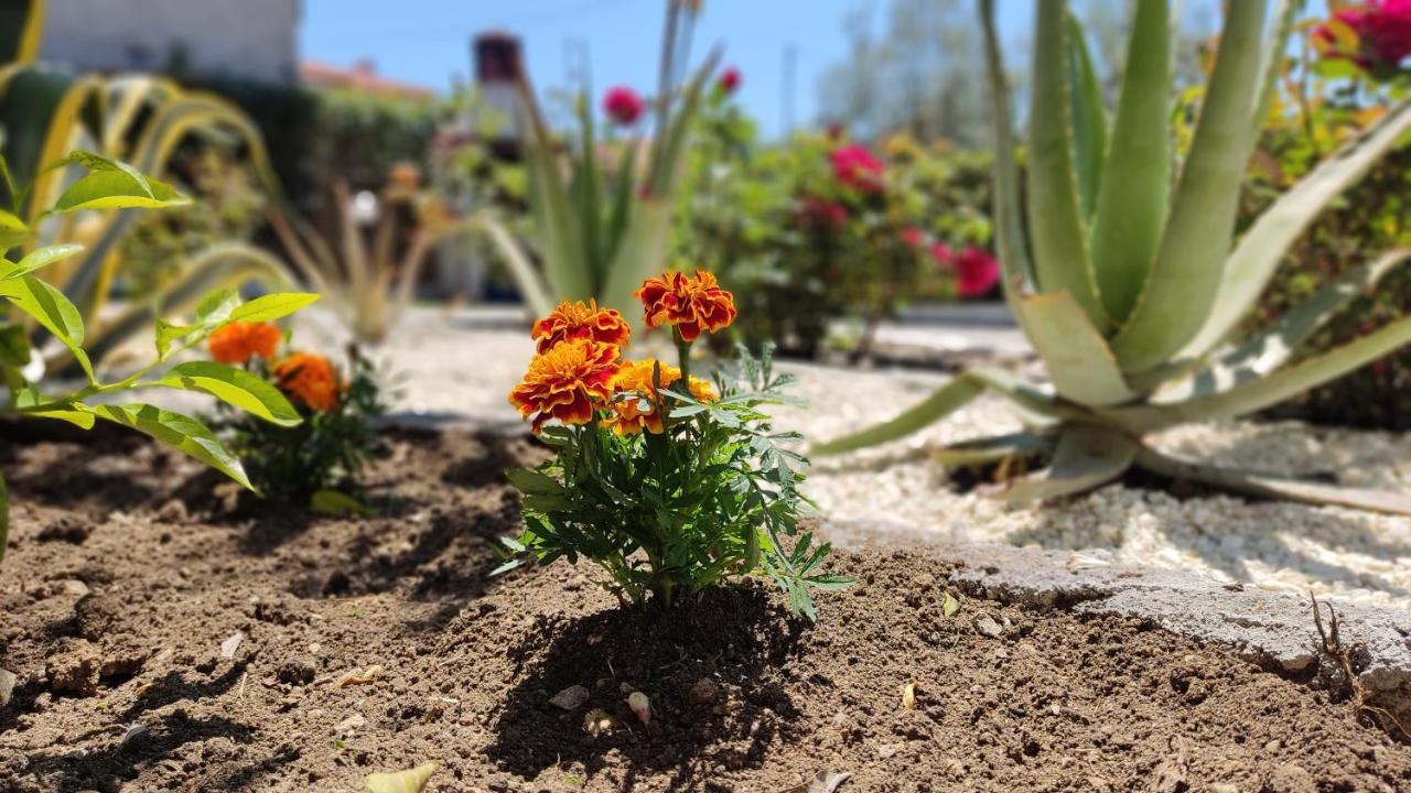니키티 Elina House And Garden 빌라 외부 사진