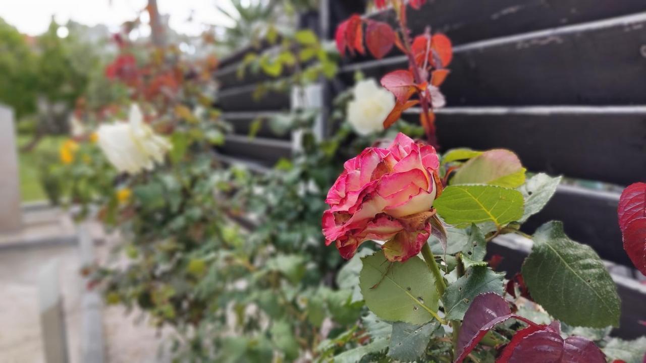 니키티 Elina House And Garden 빌라 외부 사진